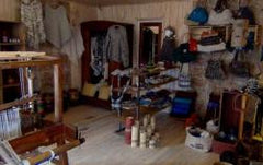 Chilean Natural Products