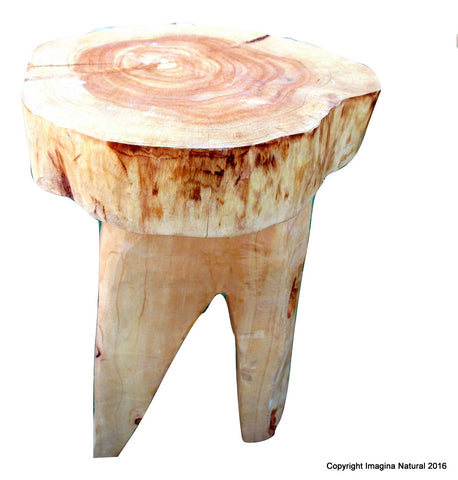 Small End / Accent Table Naturally Unique Cypress Tree Trunk Handmade - Free Shipping Included - Imagina Natural
