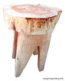 Small End / Accent Table Naturally Unique Cypress Tree Trunk Handmade - Free Shipping Included - Imagina Natural
