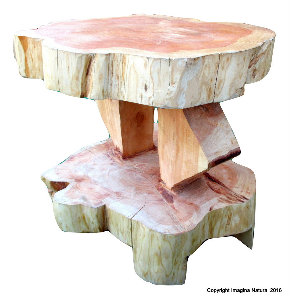 Double Level Cypress Tree Trunk Handmade Coffee Table - Free Shipping - Imagina Natural