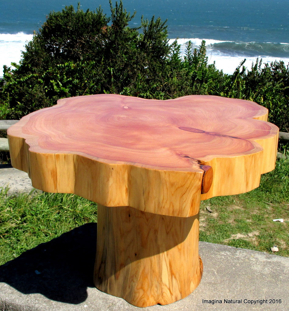 Made to Order - Naturally Unique CCypress Tree Trunk Handmade Coffee Table - Log Rustic Chilean - FREE WORLDWIDE SHIPPING Active