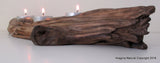 Free Shipping Beautiful New Handmade oak Driftwood 3Tea light Candle Holder Made from Reclaimed Native Chilean Wood. Candelabra, Tealight