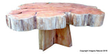 Large Cypress Handmade Tree Slice Slab Coffee Table - Rustic Chilean Log Table - Imagina Natural