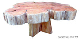 Large Cypress Handmade Tree Slice Slab Coffee Table - Rustic Chilean Log Table