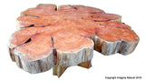 Large Cypress Handmade Tree Slice Slab Coffee Table - Rustic Chilean Log Table - Imagina Natural