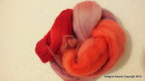 50g Red Multicolour Roving Corriedale Wool Handmade Spinning Felting Araucania