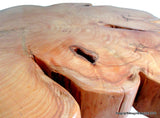 Cypress Tree Trunk Handmade Coffee Table - Imagina Natural